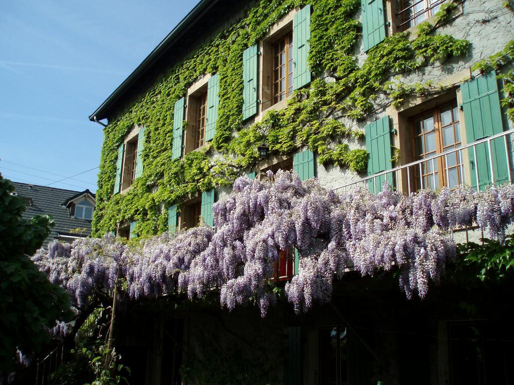La Maison De Concise (Adults Only) โทนง-เลส์-แบงส์ ภายนอก รูปภาพ